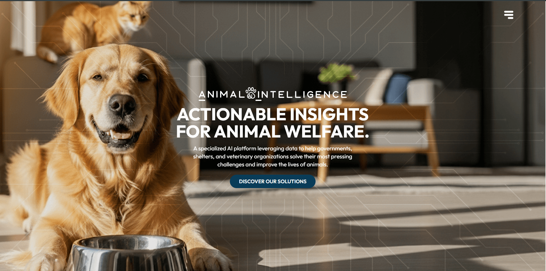 Animal Intelligence